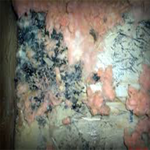 Spray-foam-insulations-mold-free